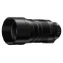 Panasonic G 100-400mm MkII f4-6.3