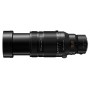 Panasonic G 100-400mm MkII f4-6.3
