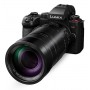 Panasonic G 100-400mm MkII f4-6.3