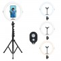 Agfaphoto Realiview AR11XL Ring Light & Stand