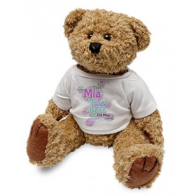 Teddy with T-Shirt 22cm Dye Sub