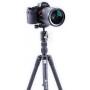 Vanguard Vesta TB 204AB Tripod