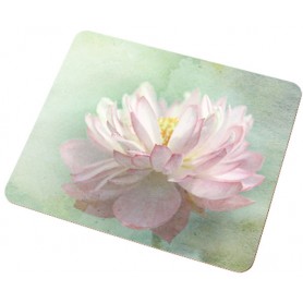 Table Mat Small 19x23cm (10 Pack)