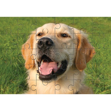 Jigsaw Puzzle Wooden A4 30 Pieces