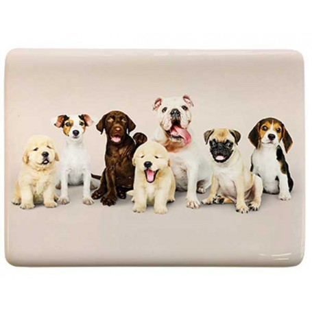 Fridge Magnet Ceramic 5x7cm (5 Pack)