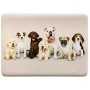 Fridge Magnet Ceramic 5x7cm (5 Pack)