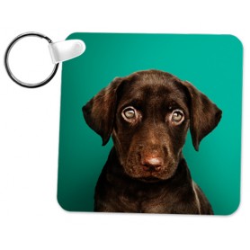 Keyring Square (25 Pack)