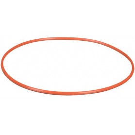 Olympus POL-058 O-Ring for PT-058/059