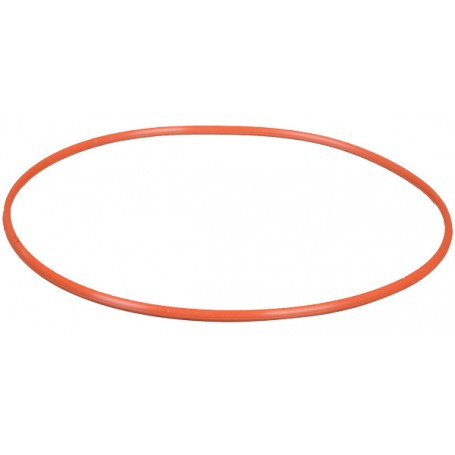 Olympus POL-058 O-Ring for PT-058/059