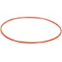 Olympus POL-058 O-Ring for PT-058/059