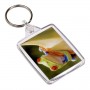 Plastic Passport KeyFob- Individually Bagged