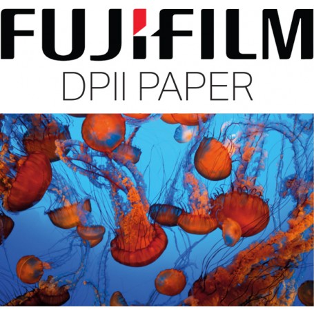 Fuji DPII 5"/12.7cm x 167.6m Matt (2 Rolls)