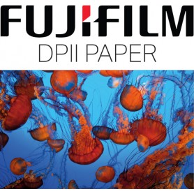 Fuji DPII 6"/15.2cm x 167.6m Matt (2 Rolls)