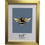Bugg Gold