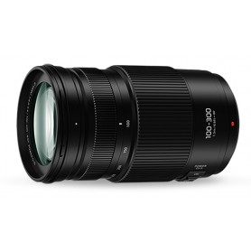 Panasonic G 100-300mm f4-5.6