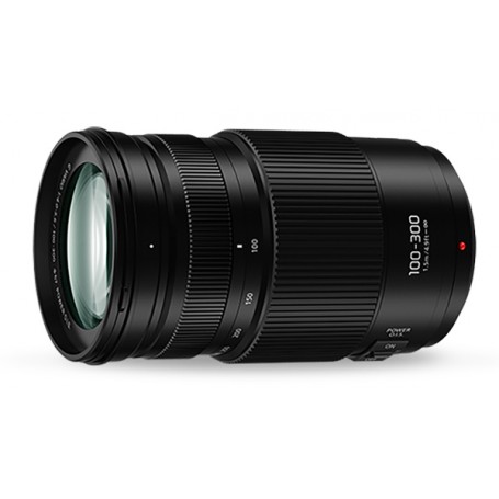Panasonic G 100-300mm f4-5.6