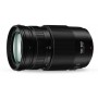 Panasonic G 100-300mm f4-5.6